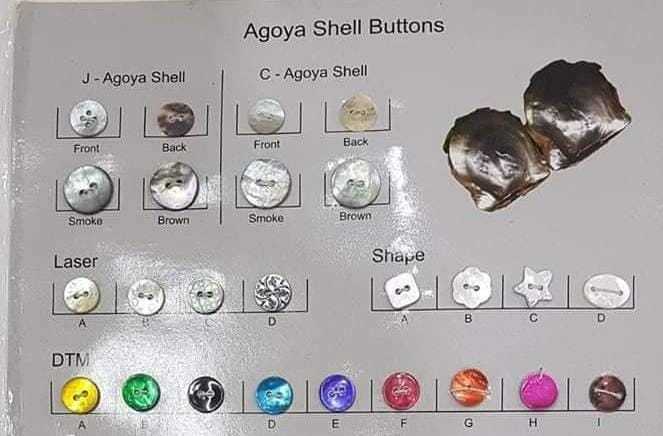 Natural Akoya Shell Buttons - Shape: Round