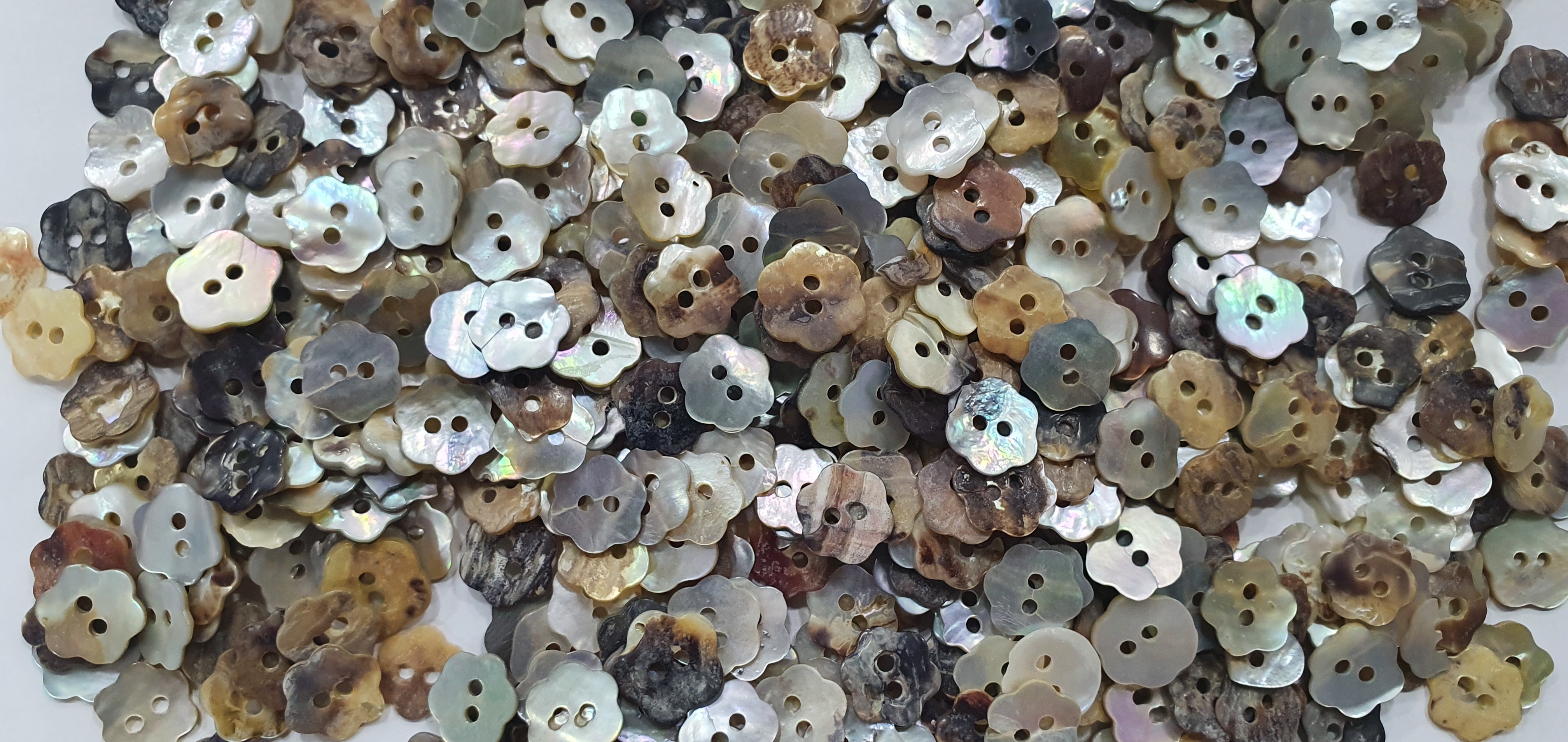 Natural Akoya Shell Buttons - Shape: Round