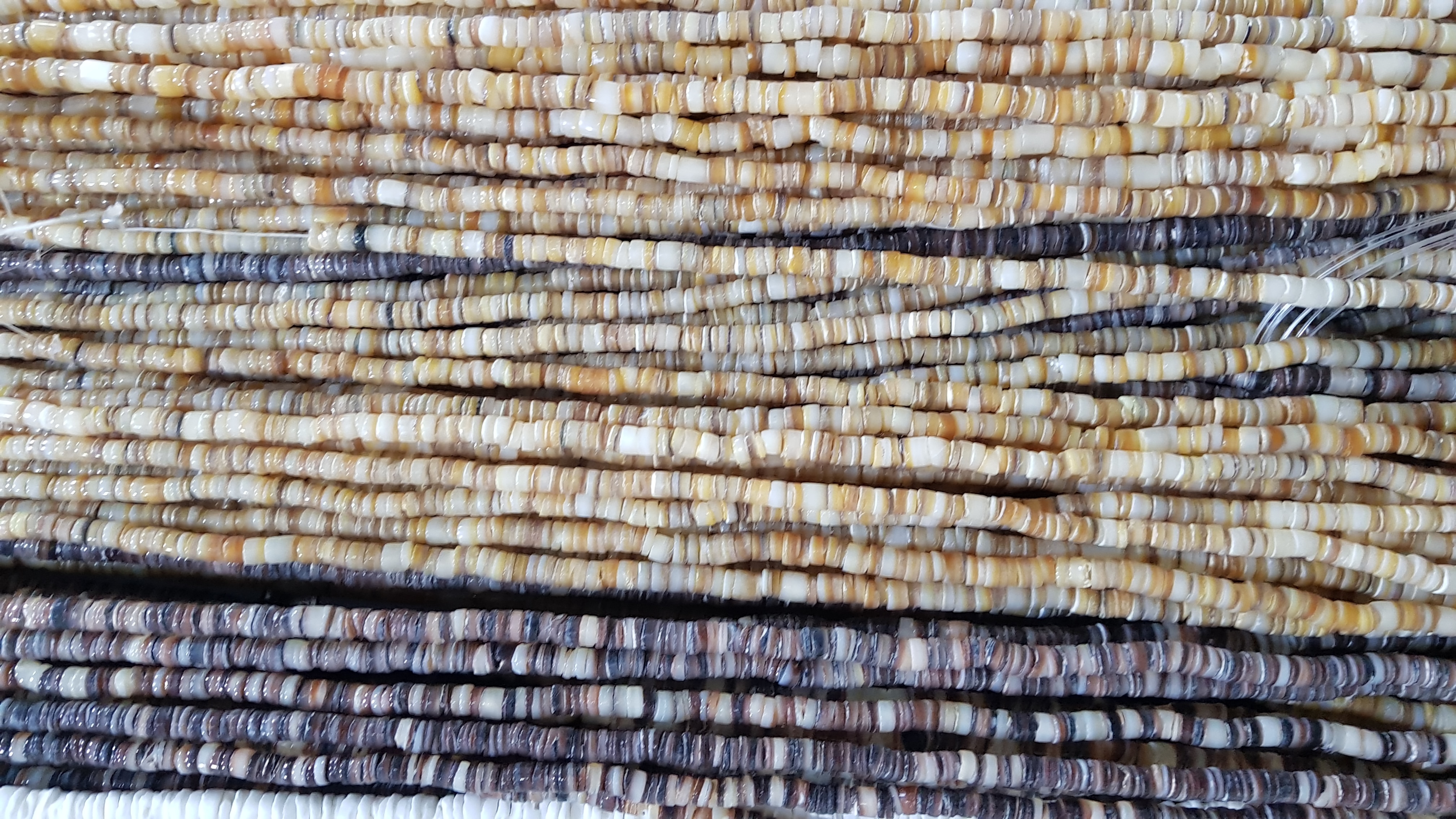 Sea Shell Beads - Color: Multi Colour