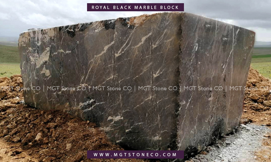 Royal Black Marble - Premium Quality Natural Stone | Luxurious Black And White Patterns, Versatile For Countertops And Bathrooms