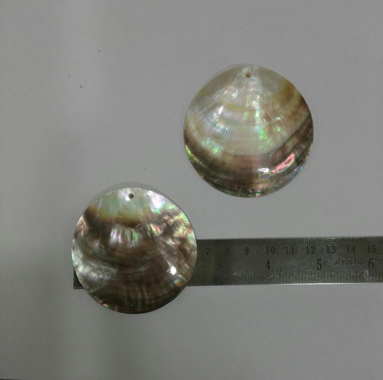 Shell Pendant - Color: Multi