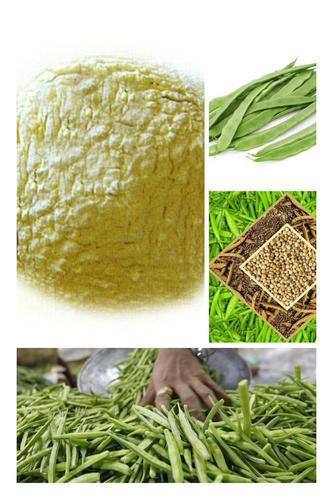 ग्वार गम