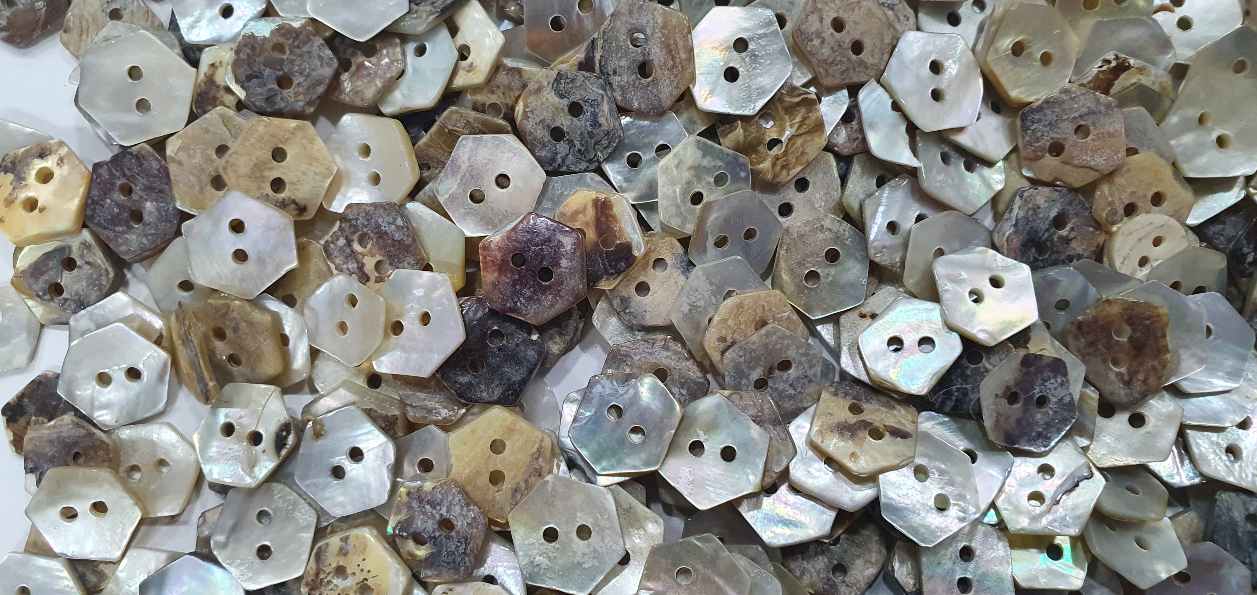 Japanese Akoya Shell Buttons - Color: Natural