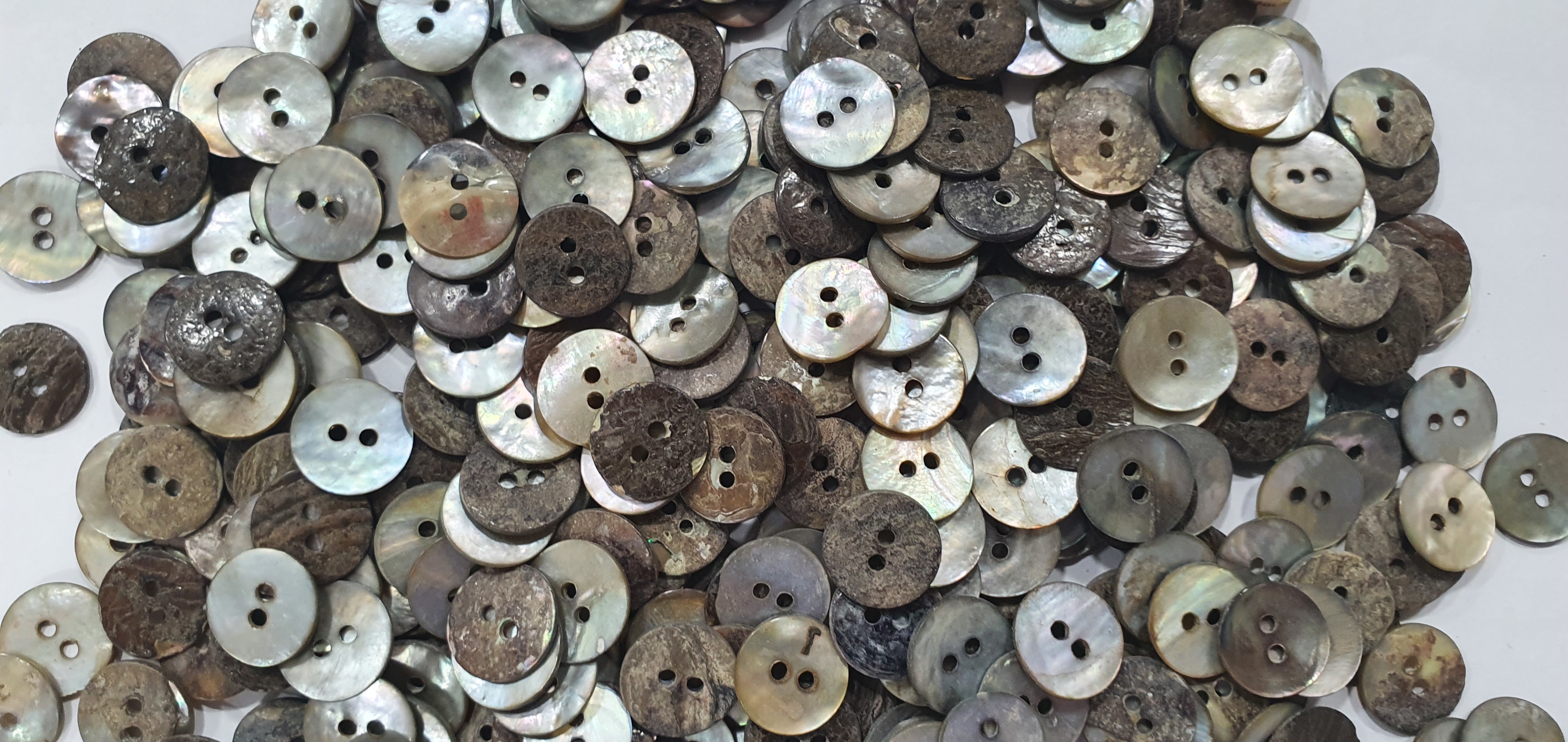 Japanese Akoya Shell Buttons - Color: Natural