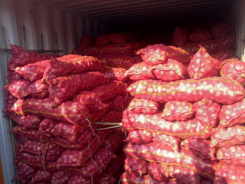 Big Onion Shelf Life: 4-6 Week