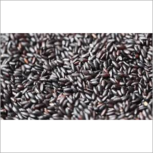 Black Rice - Organic Dried, High Purity, Black Color | Dietary Fiber Rich, Anti-inflammatory, Supports Healthy Living