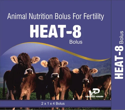 Tablets Heat Inducer Bolus Veterinary Medicine