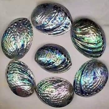 Raw Abalone - 2-5 Mm Flatback Oval Natural Sea Shell | Genuine Pearl Technique, Elegant Natural Color