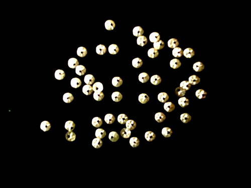 Dotted Brass Sequins