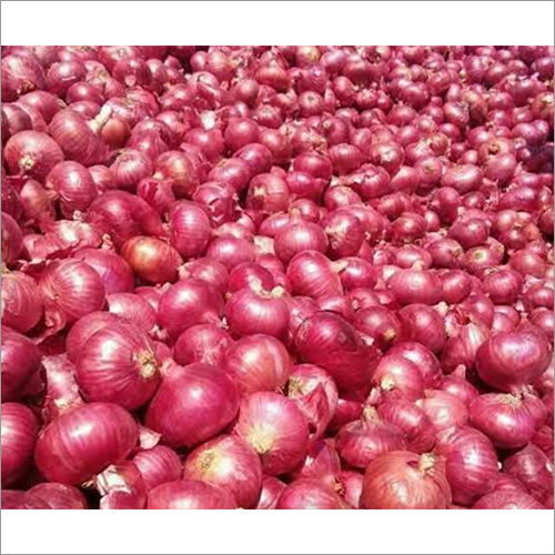 Fresh Onion