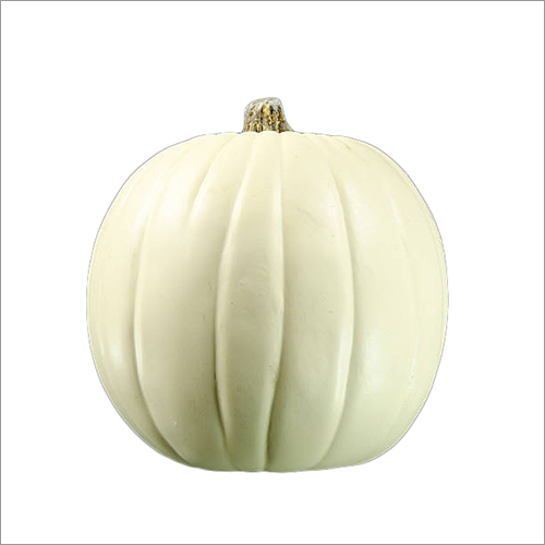 Fresh Organic White Pumpkin
