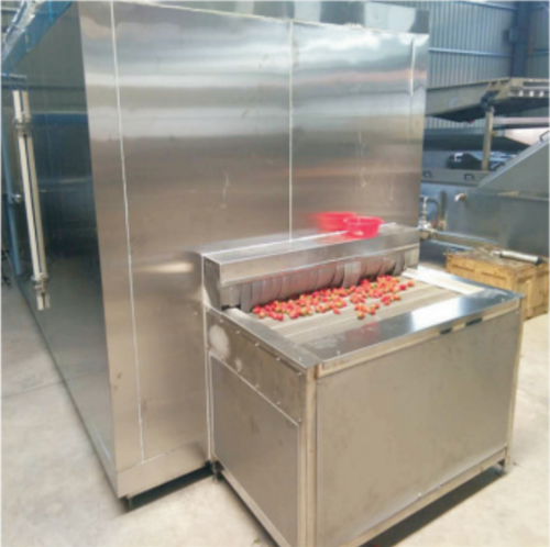 Ssd-500 ऑटोमैटिक क्विक फ्रीजिंग टनल