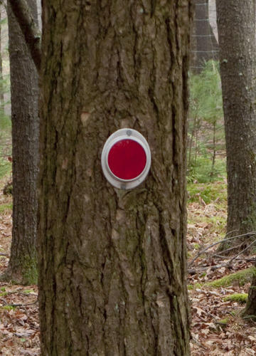Tree Reflector Application: Outdoor