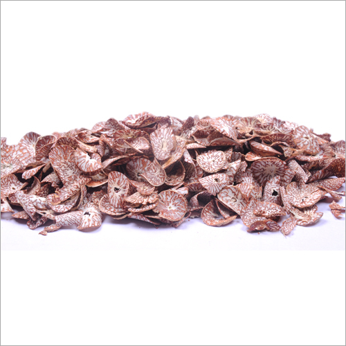 स्लाइस कटिंग एरेका नट