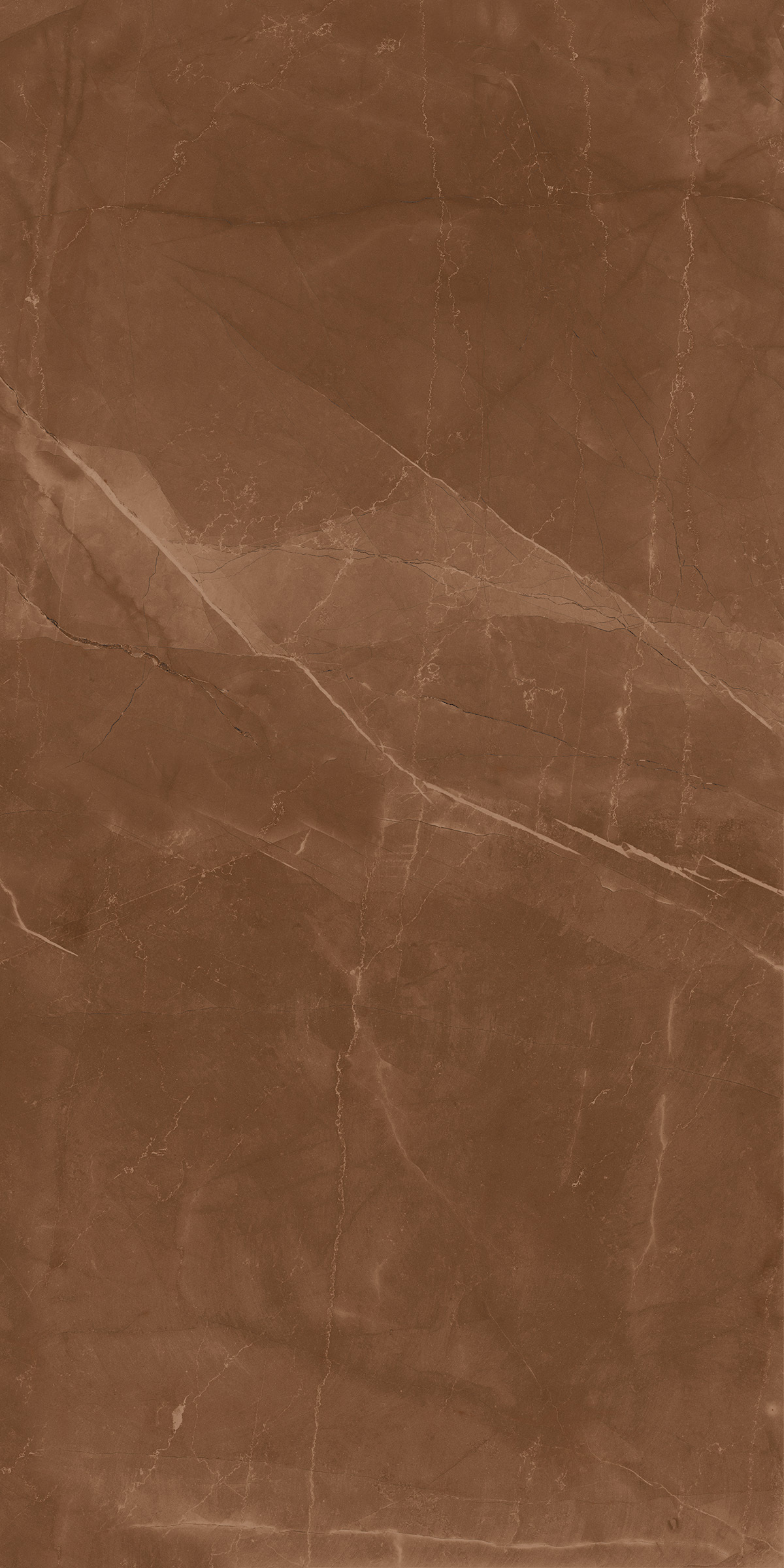 Armani Brown 800x1600mm High Glossy Porcelain Tile Moisture Content: Na