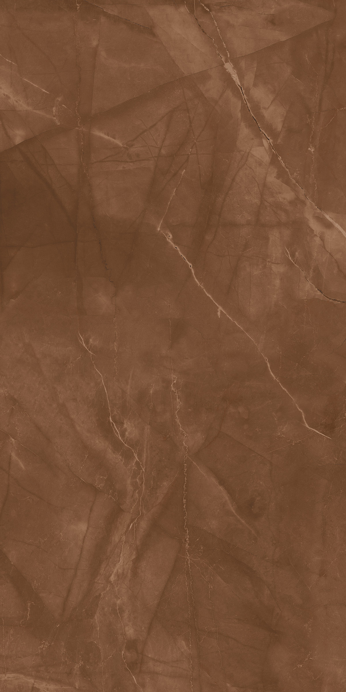 Armani Brown 800x1600mm High Glossy Porcelain Tile Moisture Content: Na