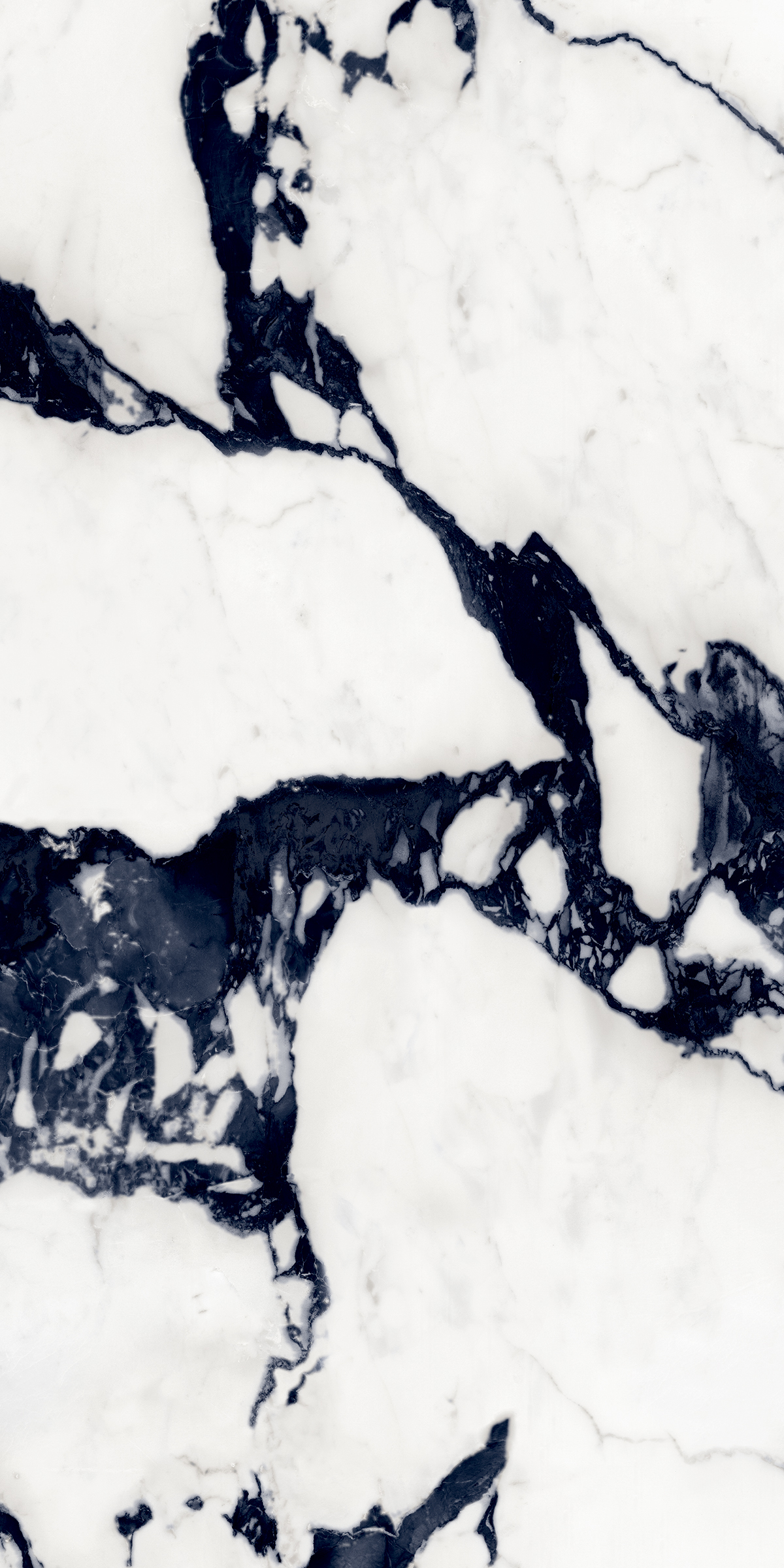 Black Martin 800x1600mm High Glossy Porcelain Tile Moisture Content: Na