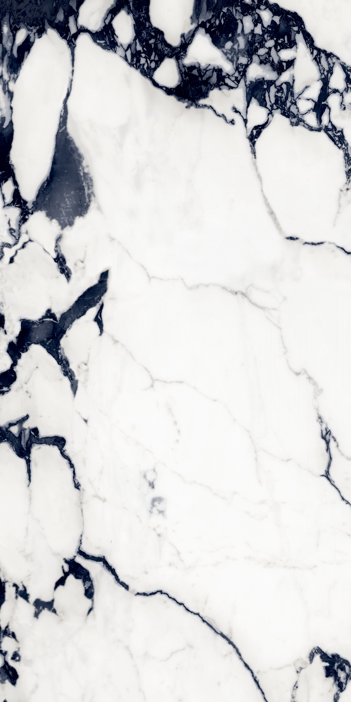 Black Martin 800x1600mm High Glossy Porcelain Tile Moisture Content: Na