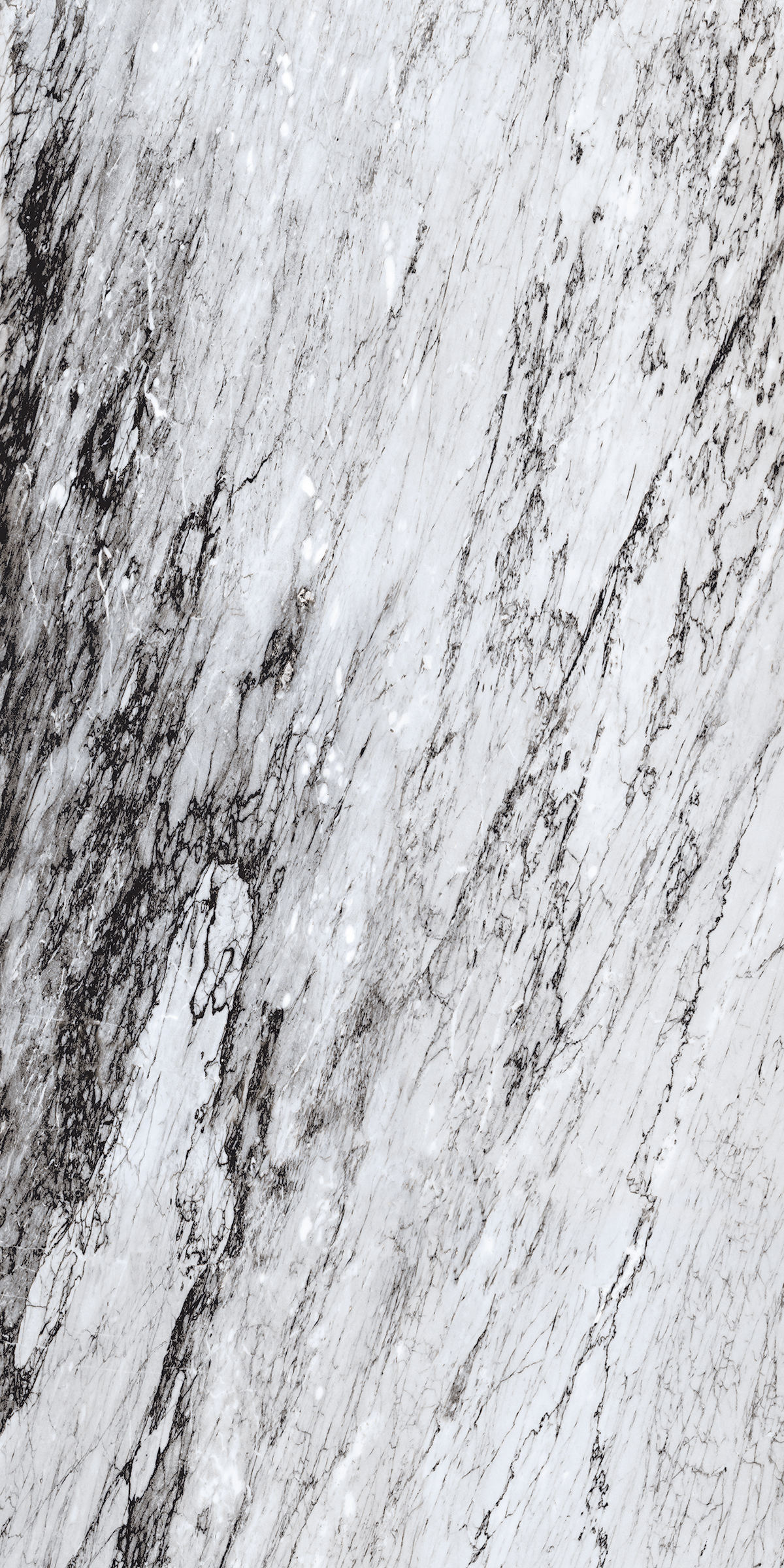 Blue Caracas Black 800x1600 Mm High Gloss Porcelain Tile