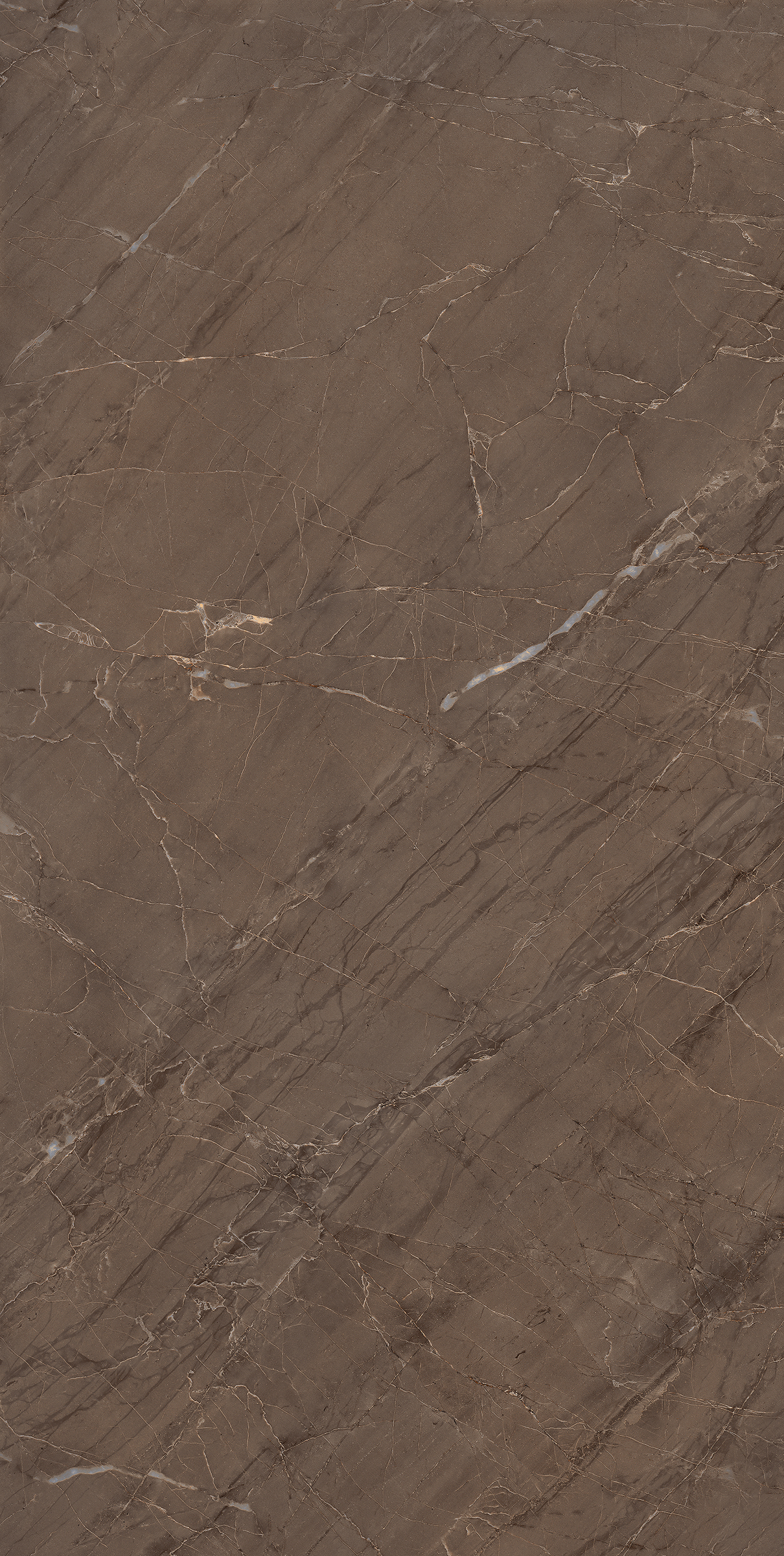 Brown Innox Bronze 800x1600mm High Glossy Porcelain Tile