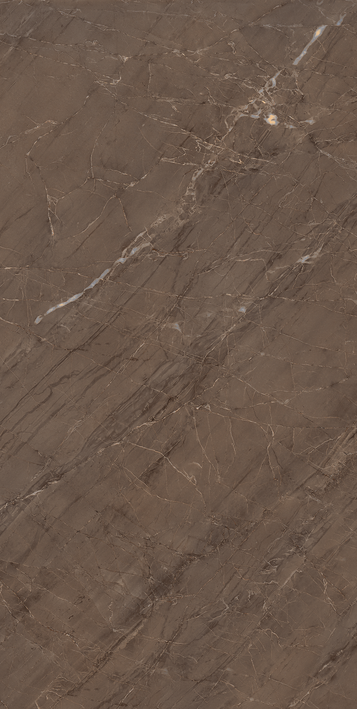 Brown Innox Bronze 800x1600mm High Glossy Porcelain Tile