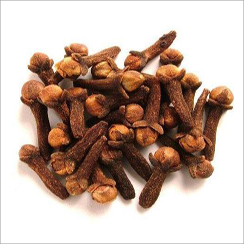 ब्राउन ब्लैक क्लोव