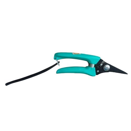 Pruning Shear