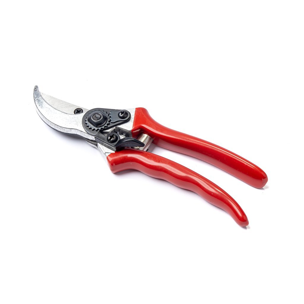 Pruning Shear