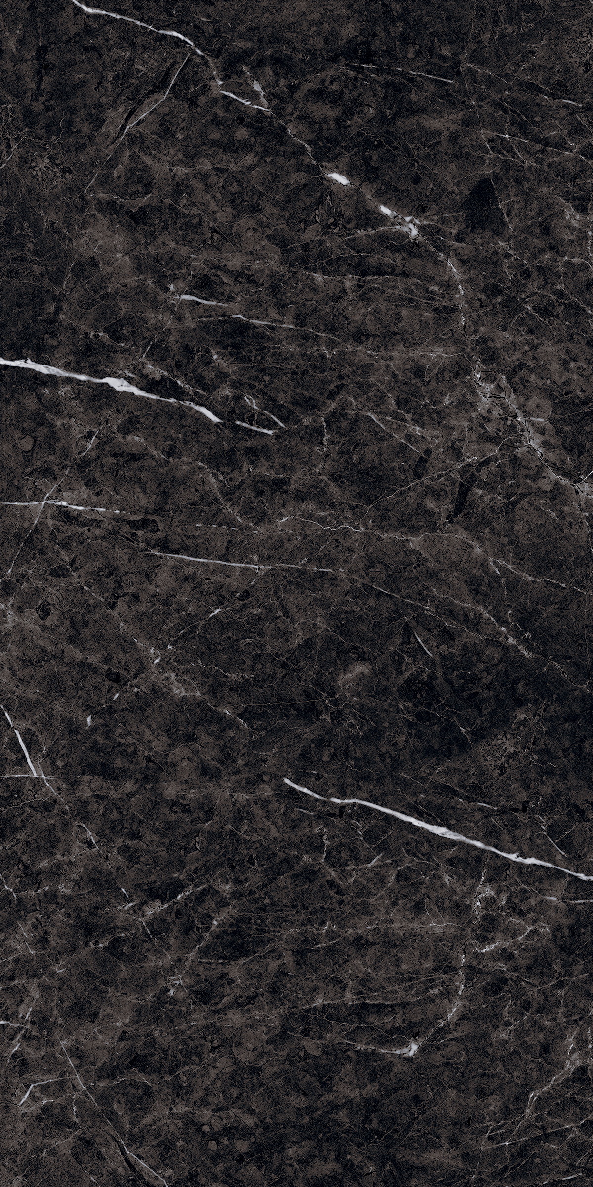 Thunder Black 800x1600mm High Glossy Porcelain Tile Moisture Content: Na