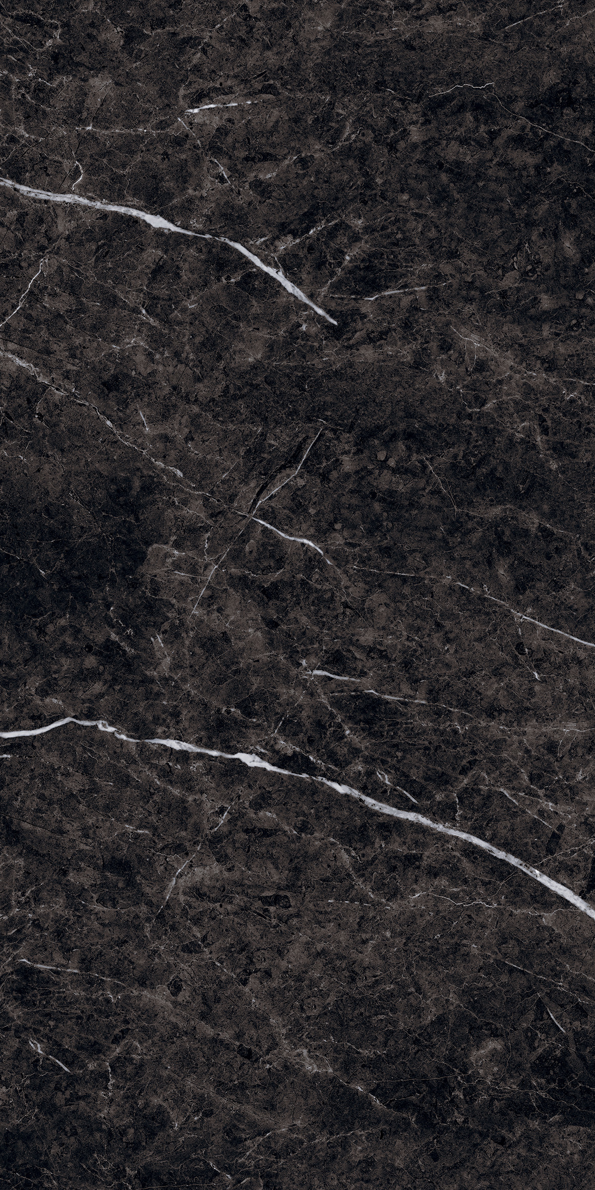Thunder Black 800x1600mm High Glossy Porcelain Tile Moisture Content: Na