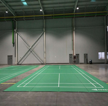 बैडमिंटन मैट कोर्ट