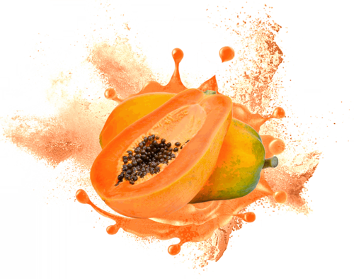 Papaya Powder Cas No: Sd-Pyp