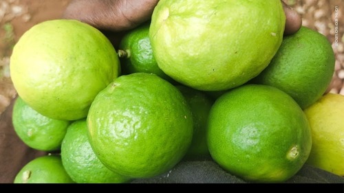 Fresh Lemon