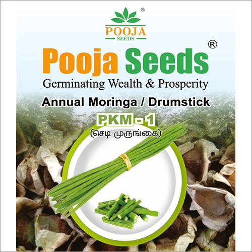 Drumstick Seeds