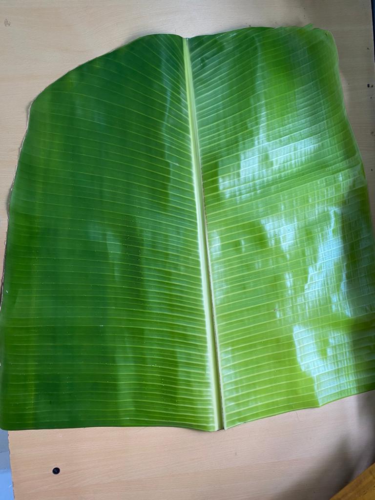 Green Banana Leaf Size: Different Size Available