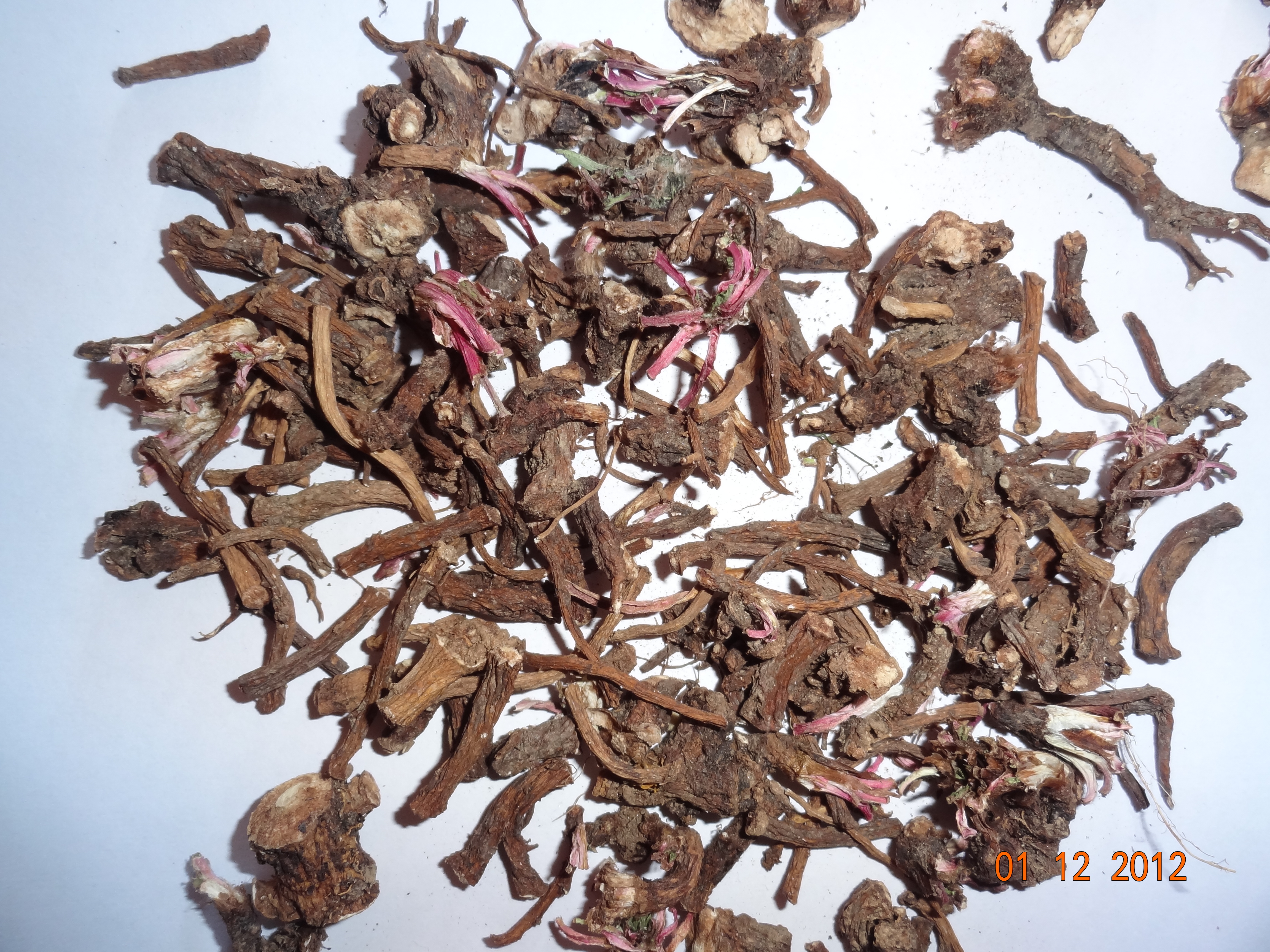 Dandelion Root