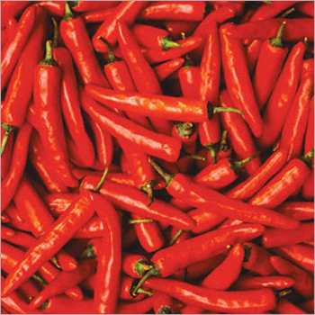 Red Chillies
