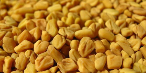 Fenugreek Extract Direction: It Is Used As A Flavoring In Indian And Asian Cookery