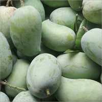 Green Ratnagiri Hapus Mango