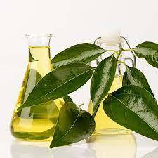 Camphor Essential Oil - 100% Pure Wood Extract, 1 Liter | Stimulant, Antiseptic, Pain Relief, Memory Boost, Anti-inflammatory, Insecticide