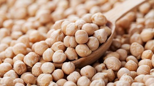 Chick Pea Extract