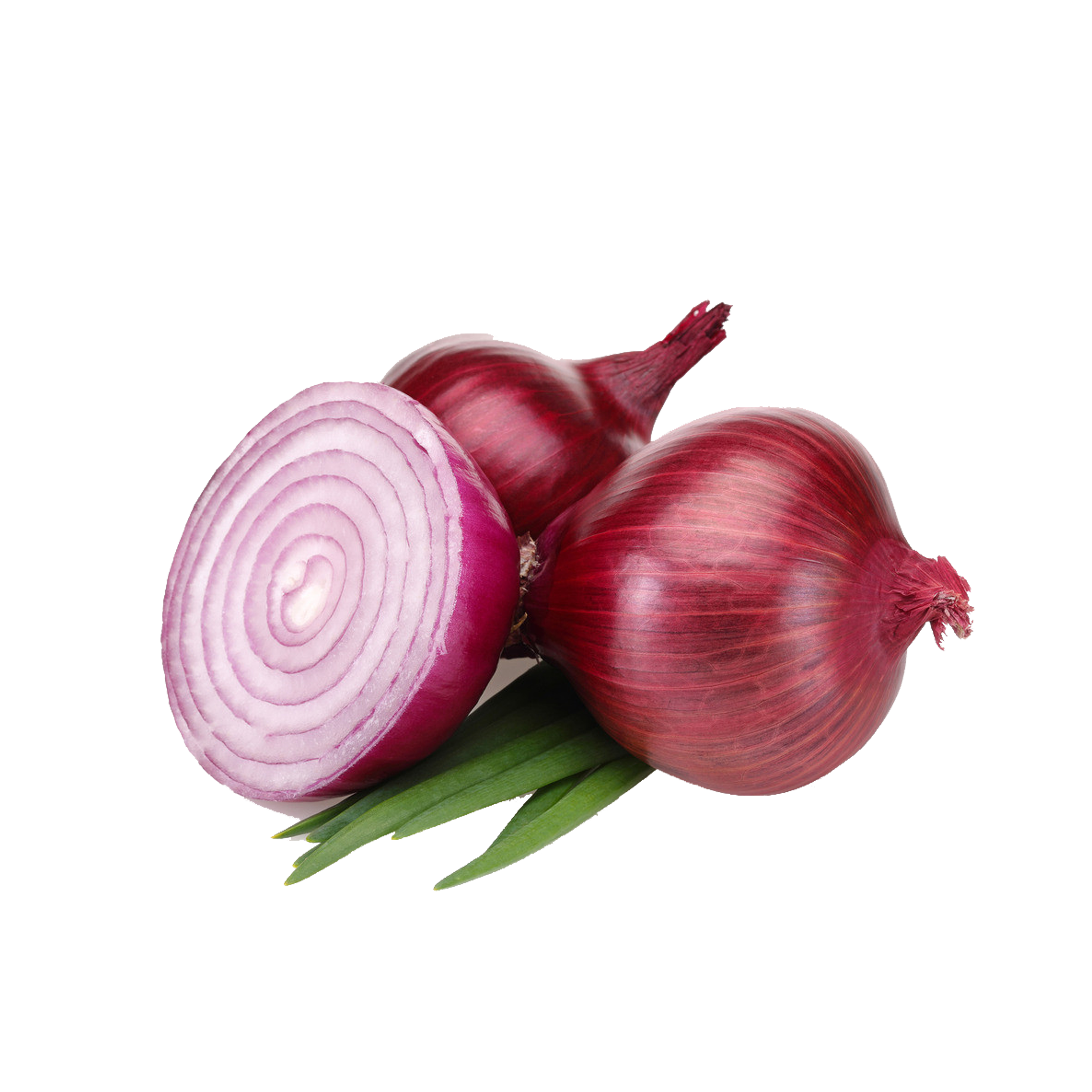 Fresh Red Onion Moisture (%): 86