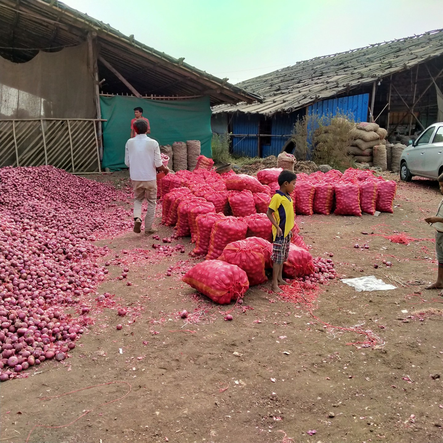 Natural Red Onion