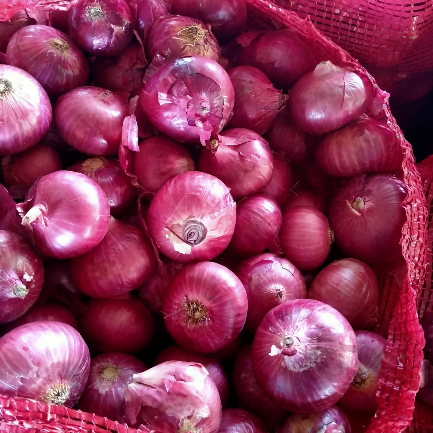 Natural Red Onion