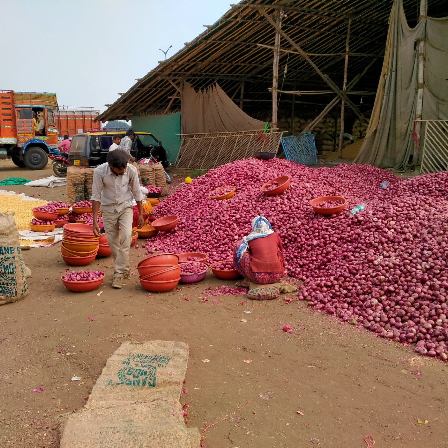 Natural Red Onion