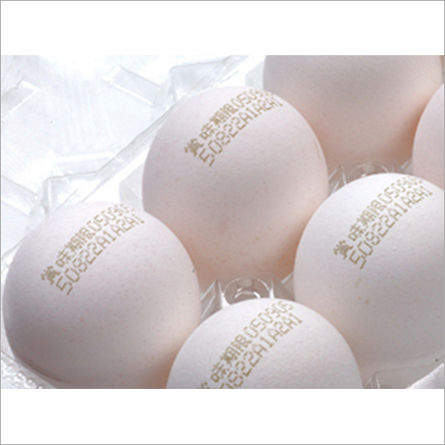 Ccs-3000 Continuous Inkjet Printer