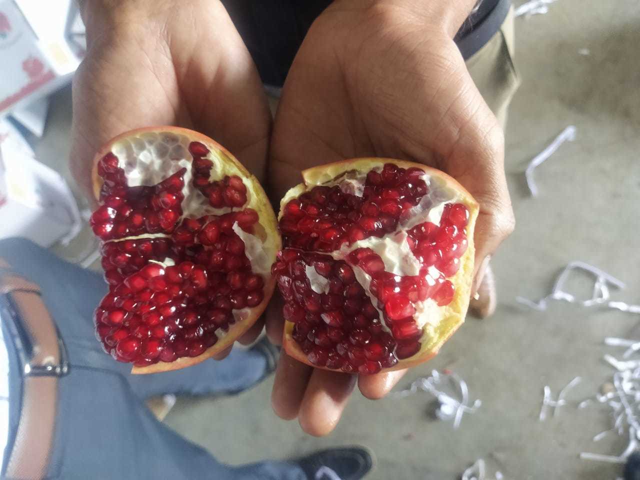 Fresh Pomegranate - Natural Size, Sweet Taste | Nutrient-rich Superfruit For Health Benefits Against Cancer And Blood Pressure Issues