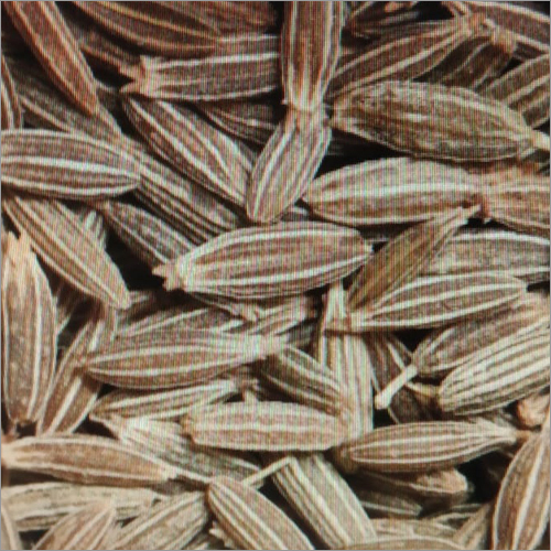 Cumin Seed - Small Elongated Brown Seeds | Hard Texture, Earthy Aroma, Plant Origin