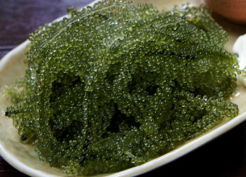 Spirulina Powder Grade: Na