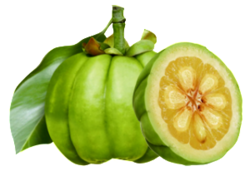 Garcinia Cambogia Extract - Herbal Powder, Weight Loss Support, Nourishing For Joint Pain, Digestive Health, Headache Relief, Cholesterol Management